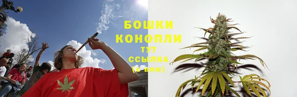 spice Дмитриев