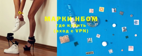 хмурый Белокуриха