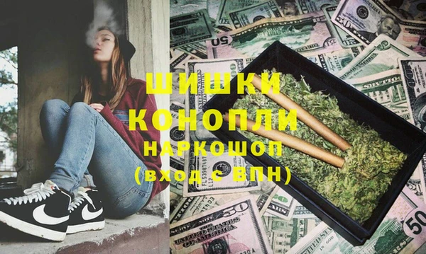 хмурый Белокуриха