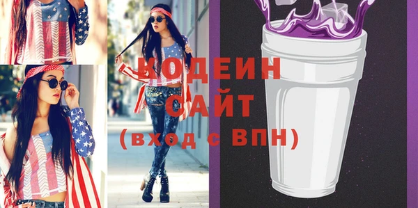 хмурый Белокуриха