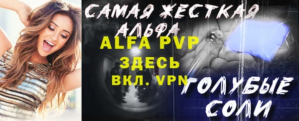 хмурый Белокуриха