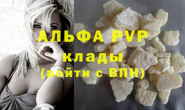 хмурый Белокуриха