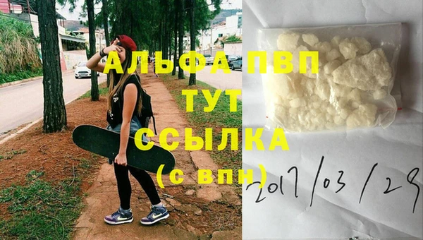 хмурый Белокуриха